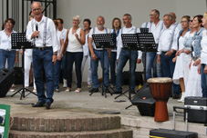 Uitvoering 2014 Muziektuin (44).jpg